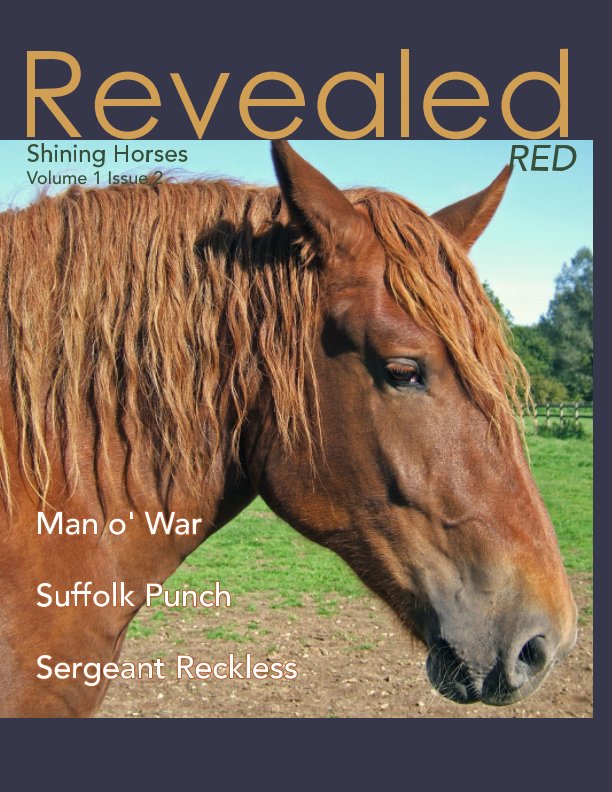 View Revealed: Shining Horses RED by Patricia Lee Harrigan