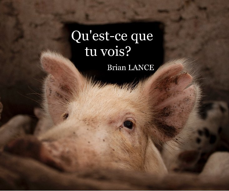 Bekijk Qu'est-ce que tu vois? op Brian LANCE