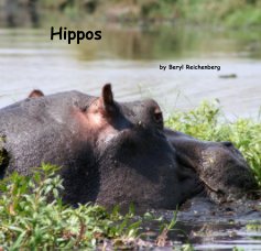 Hippos book cover