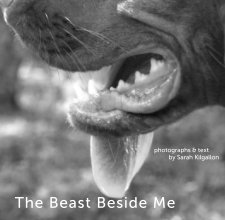 The Beast Beside Me book cover