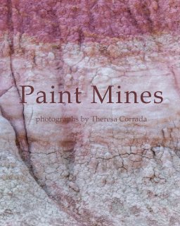 Paint Mines book cover