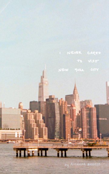 View I Never Cared to Visit NYC by Amanda Breese