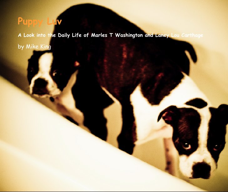 View Puppy Luv by Mike King