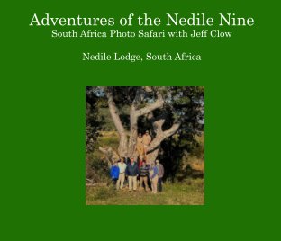Adventures of the Nedile Nine book cover