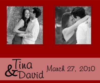 Tina and David Wedding Guest Book book cover