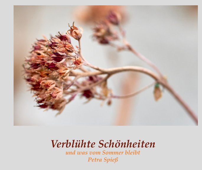 Visualizza Verblühte Schönheiten di Petra Spieß