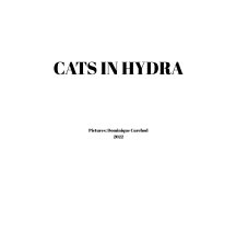 Cats in Hydra book cover