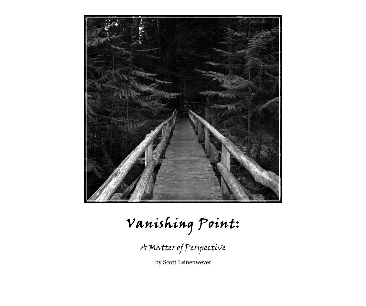 View Vanishing Point: by Scott Leinenwever
