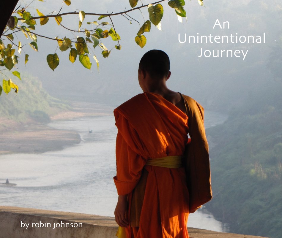 View An Unintentional Journey by Robin Johnson