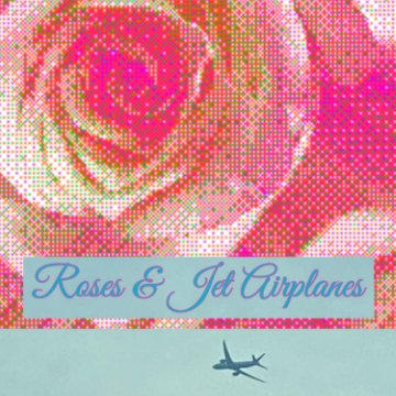 View Roses and Jet Airplanes by Sky Drews