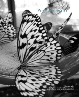 Portfolio 2010 book cover