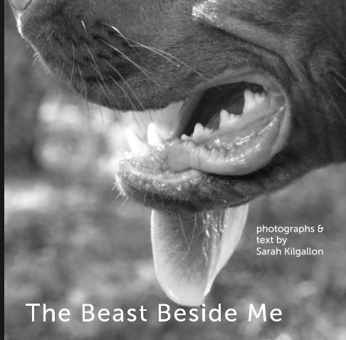 View The Beast Beside Me by Sarah Kilgallon