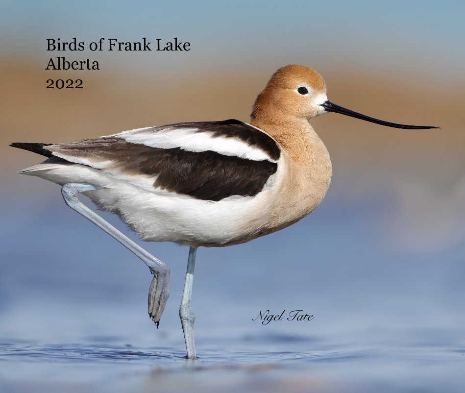 Visualizza Birds of Frank Lake Alberta 2022 di Nigel Tate