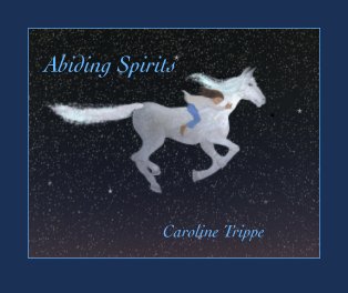 Abiding Spirits book cover