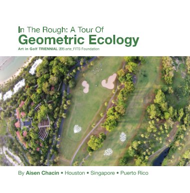 In The Rough: A Tour Of Geometrical Ecology book cover
