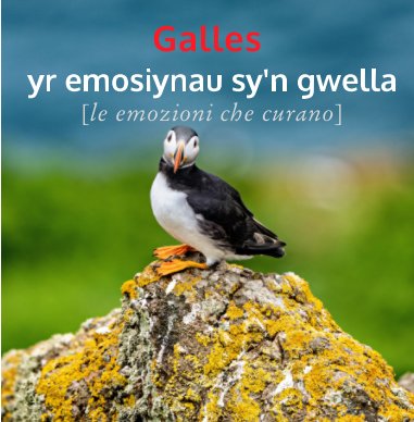 Galles 2022 book cover