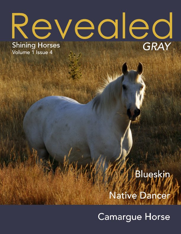 View Revealed: Shining Horses GRAY by Patricia Lee Harrigan