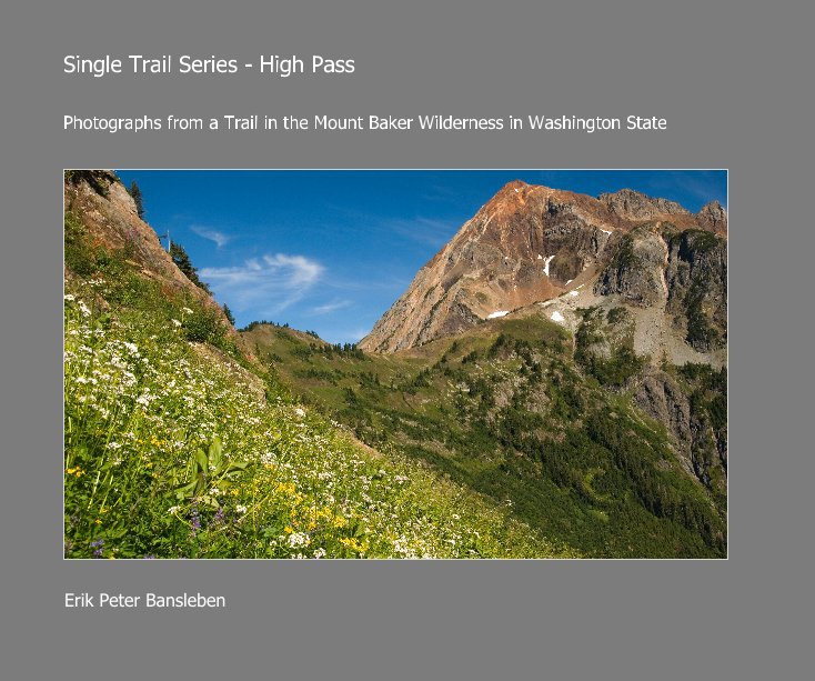 View Single Trail Series - High Pass by Erik Peter Bansleben