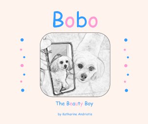 Bobo The Beauty Boy book cover