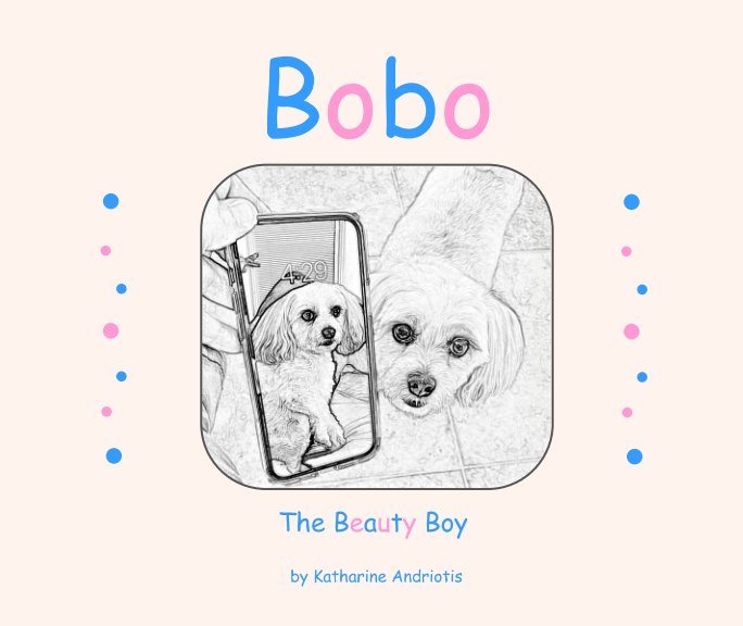 View Bobo The Beauty Boy by Katharine Andriotis