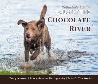 Tails Of The Chocolate River book cover