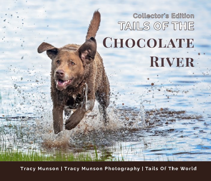 View Tails Of The Chocolate River by Tracy Munson