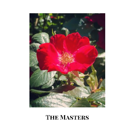 View The Masters by Troy Hogan