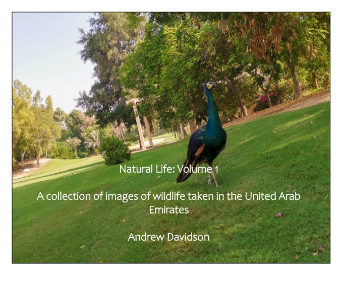 View Natural Life Vol. 1 by Andrew Davidson