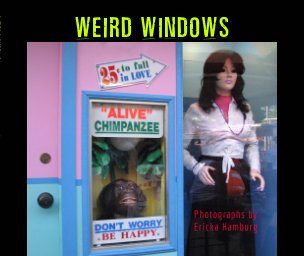 Weird Windows book cover
