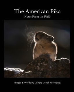 The American Pika: notes from the field book cover