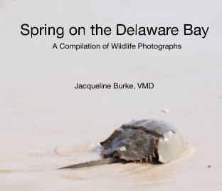 Spring on the Delaware Bay book cover