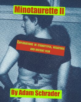 Minotaure II book cover
