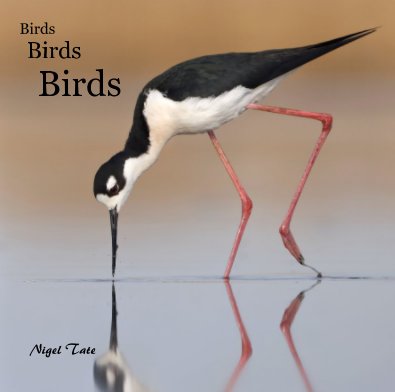 Birds Birds Birds book cover