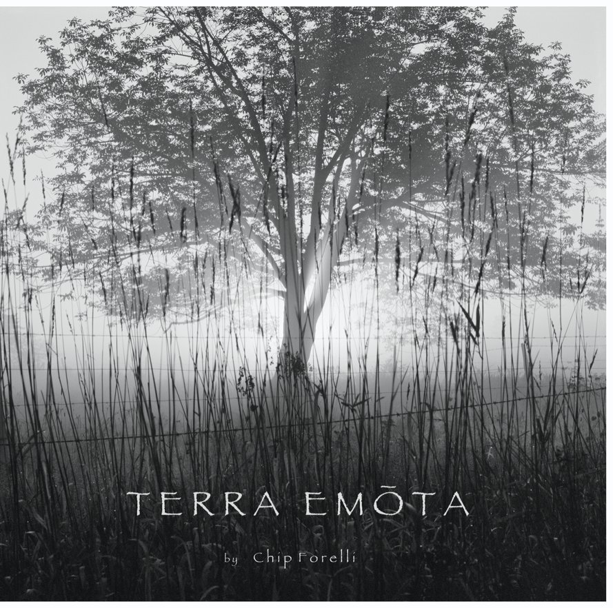 View Terra Emota by Chip Forelli