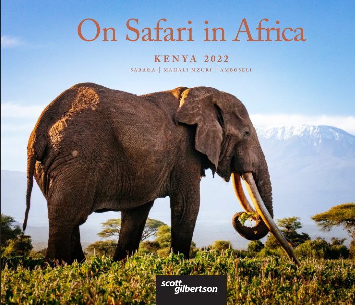 View On Safari in Africa: Kenya 2022 by Scott Gilbertson