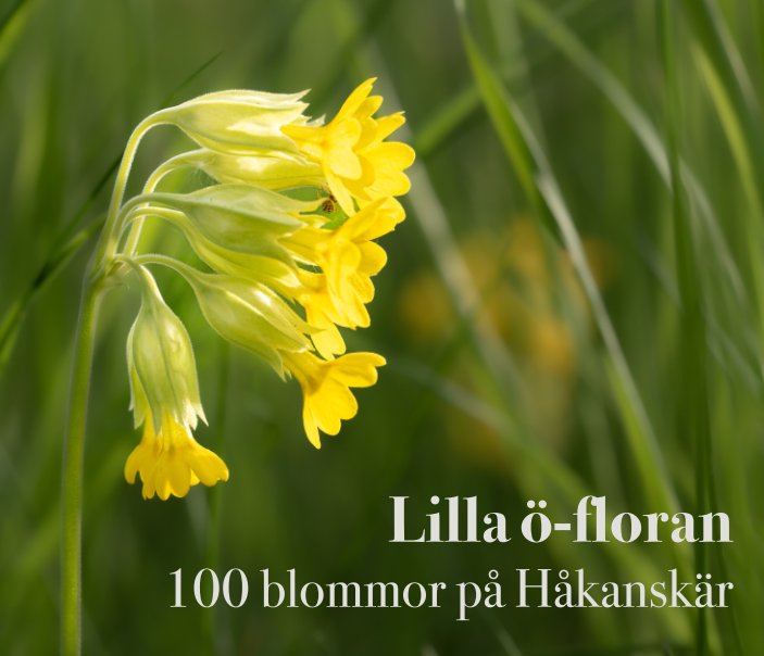 Bekijk Lilla ö-floran op Peter Söderquist