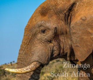 South Africa Safari book cover