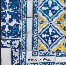 Mexican Walls book cover