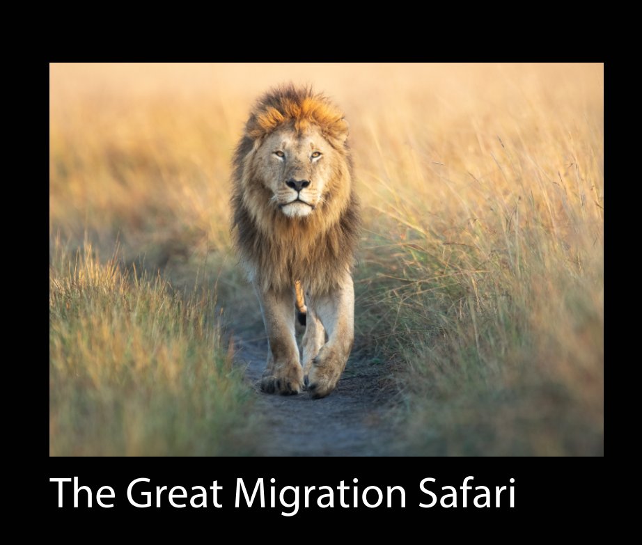 View Great Migration 2022 by Boone Thomson