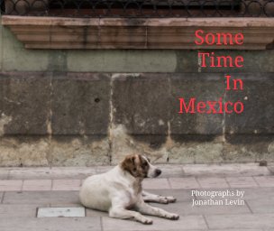 Some Time In Mexico book cover