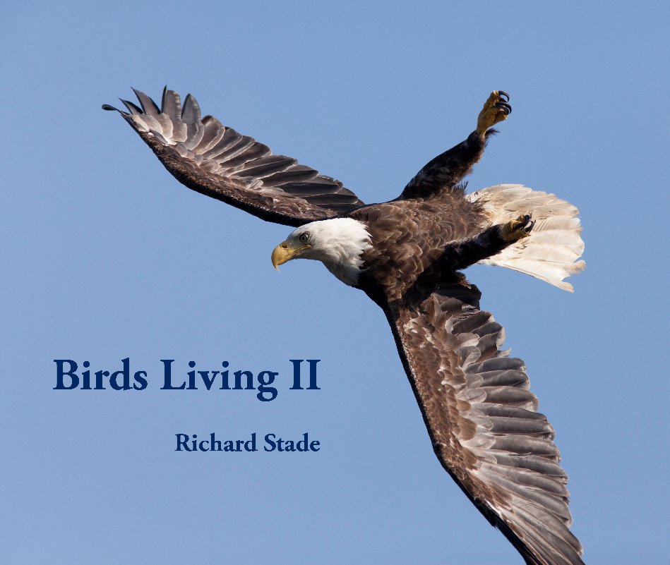 View Birds Living II by Richard Stade