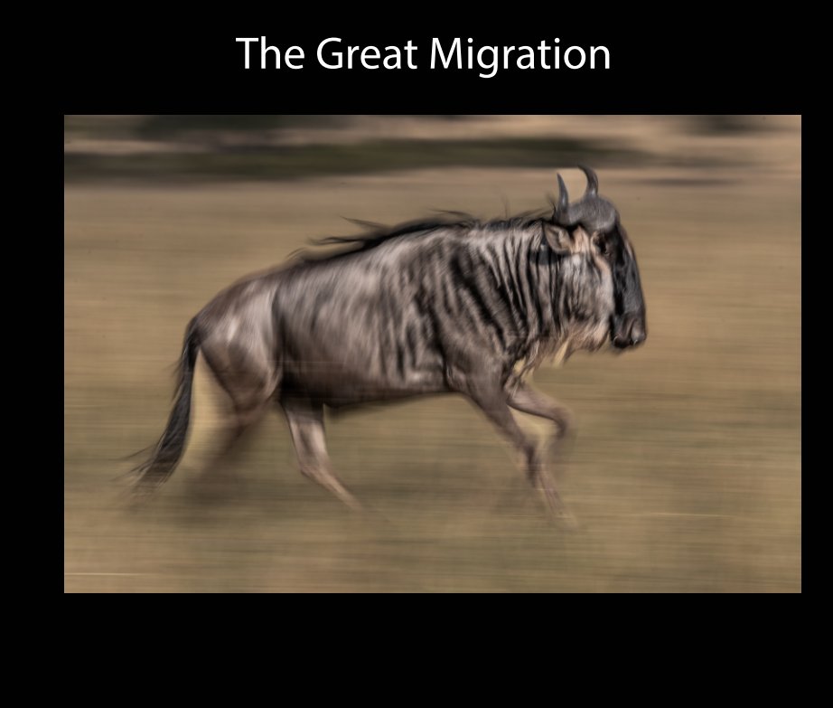 View Great Migration 2022 by Boone Thomson