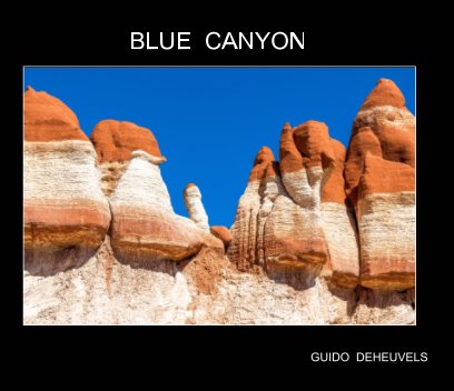 Blue Canyon book cover