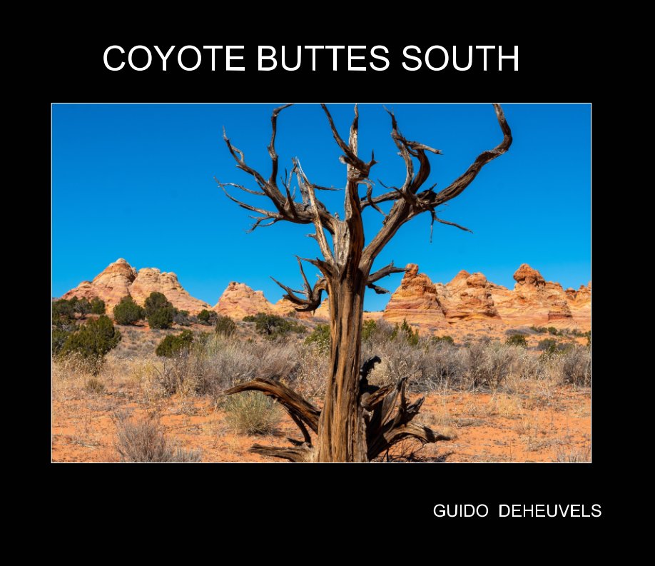 Visualizza Coyote Buttes South di GUIDO DEHEUVELS