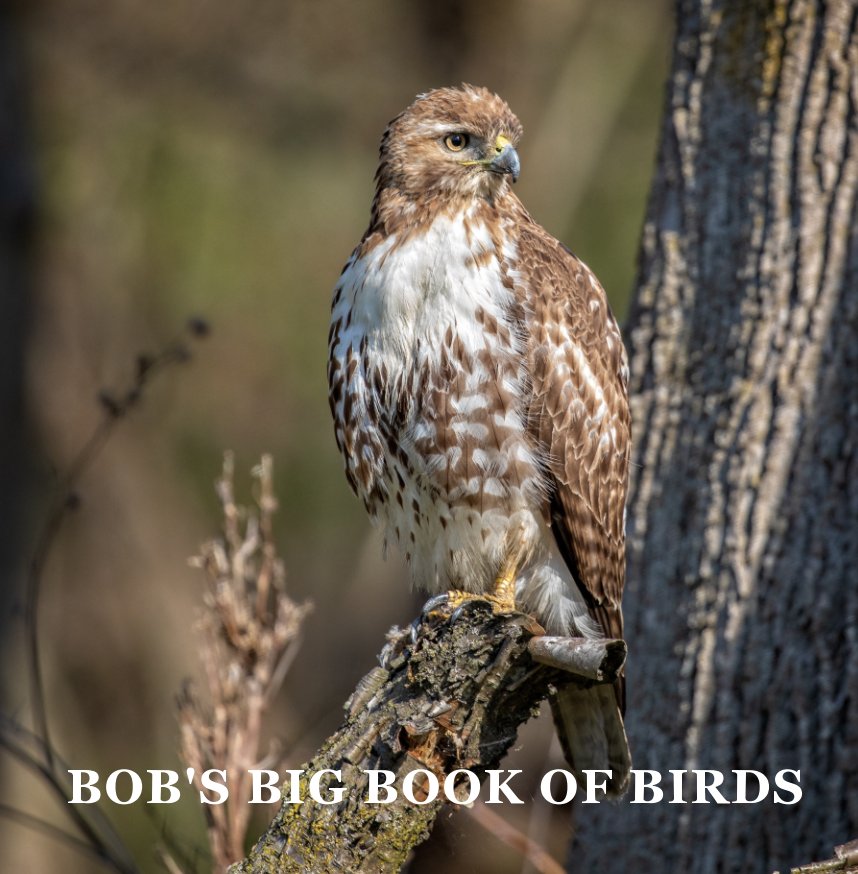 Ver Bob's Big Book of Birds por Bob Strupat