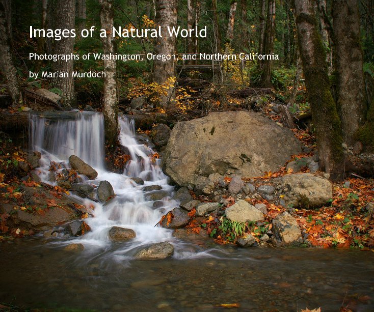 View Images of a Natural World by Marian Murdoch