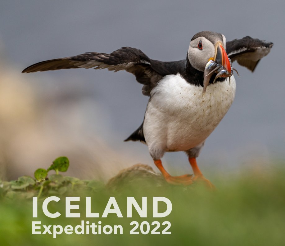 View Iceland Expedition 2022 by The World
