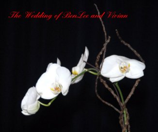 The Wedding of BenLee and Vivian book cover