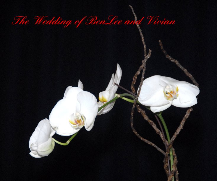 Visualizza The Wedding of BenLee and Vivian di Lincoln Spurgeon