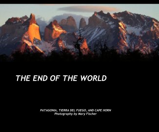 THE END OF THE WORLD book cover